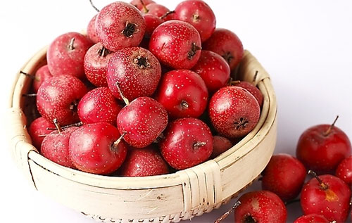 ���̴��߳�ʲô�� �����̴���5��ʳ���Ƽ�